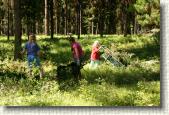 The kids (Stephanie, Hannah and Rosalyn) help make burn piles out of the brush.
