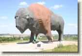 The Giant Buffalo in Jamestown, ND.