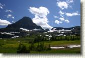 The meadows in Logan Pass.